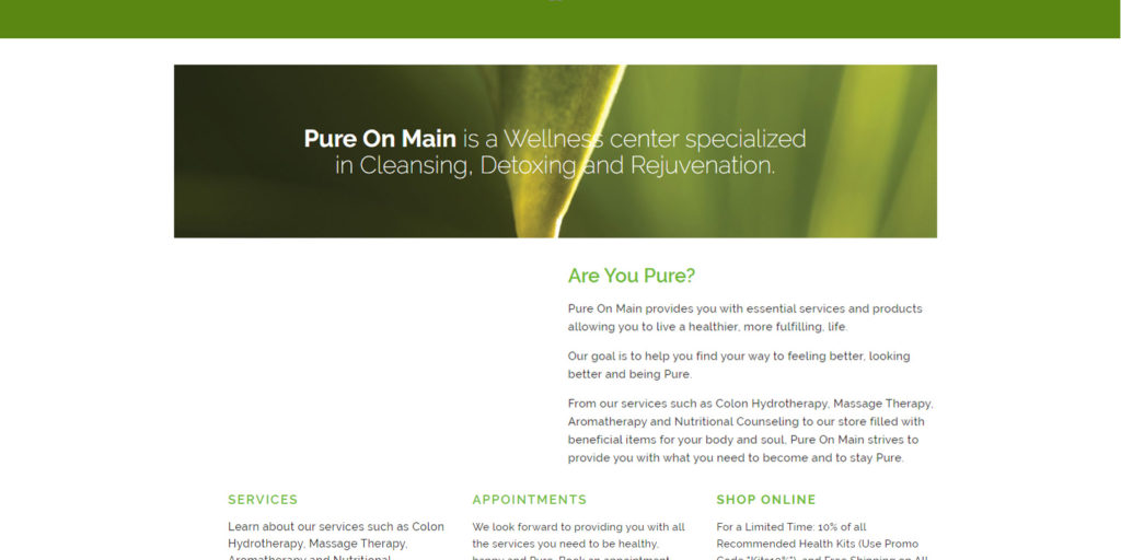 Pure On Main Website Before Web Redesign Desktop Version